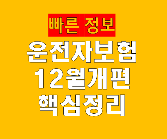 운전자보험 12월 구조 개편 핵심 정리｜보험료 인상 전 꼭 알아야 할 현명한 대응 전략