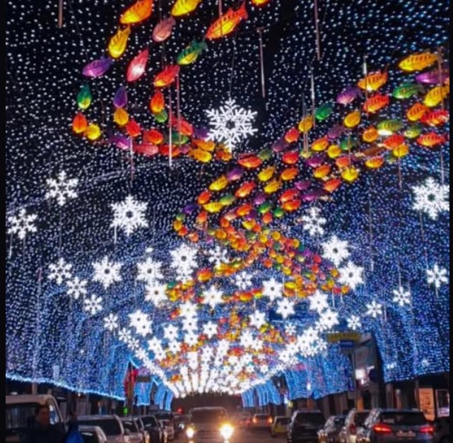 화천산천어 축제