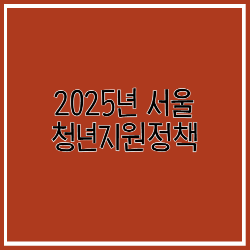 서울시 및 자치구의 청년지원정책 총정리