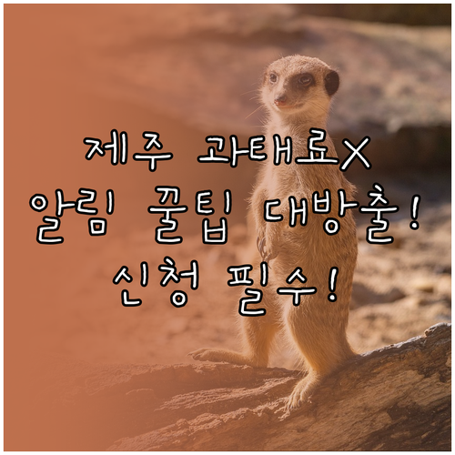 주정차 과태료 걱정 끝 제주 알림 서..