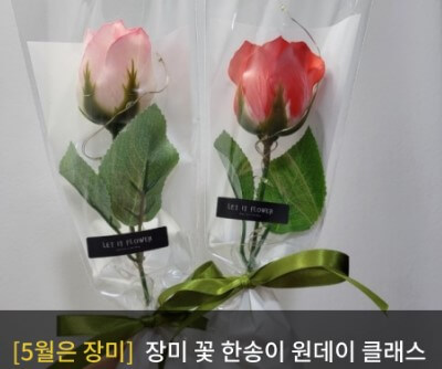 울산대공원장미축제