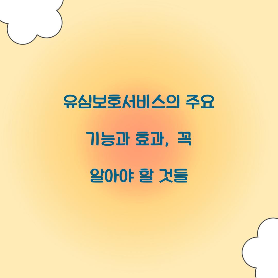 유심보호서비스의 주요 기능과 효과