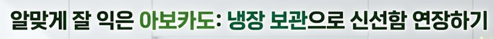 아보카도 보관법