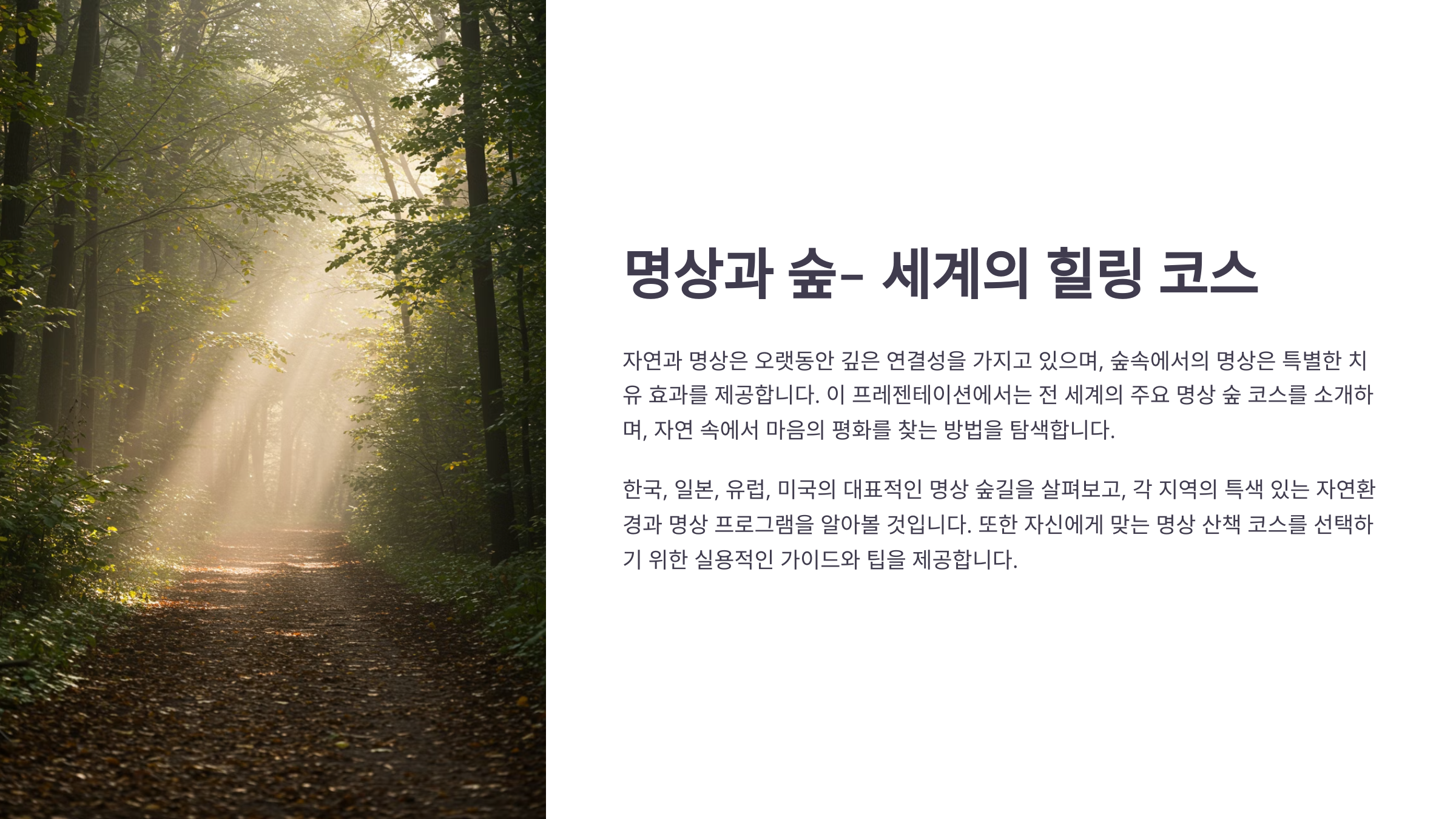 명상하기 좋으면서도 조용한 숲속 힐링 명소 추천 리스트