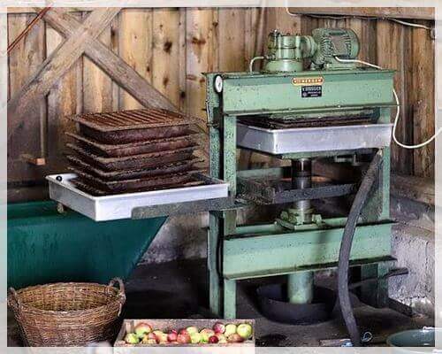 사과초모식초 효능