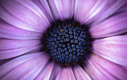 화담숲-예약하기