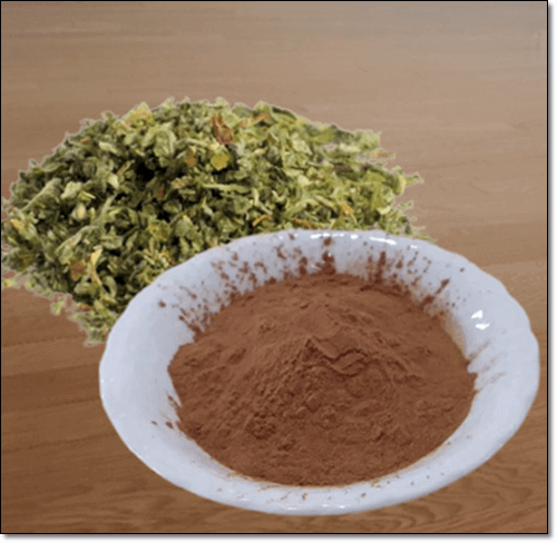 건조 돌외잎과 돌외 분말