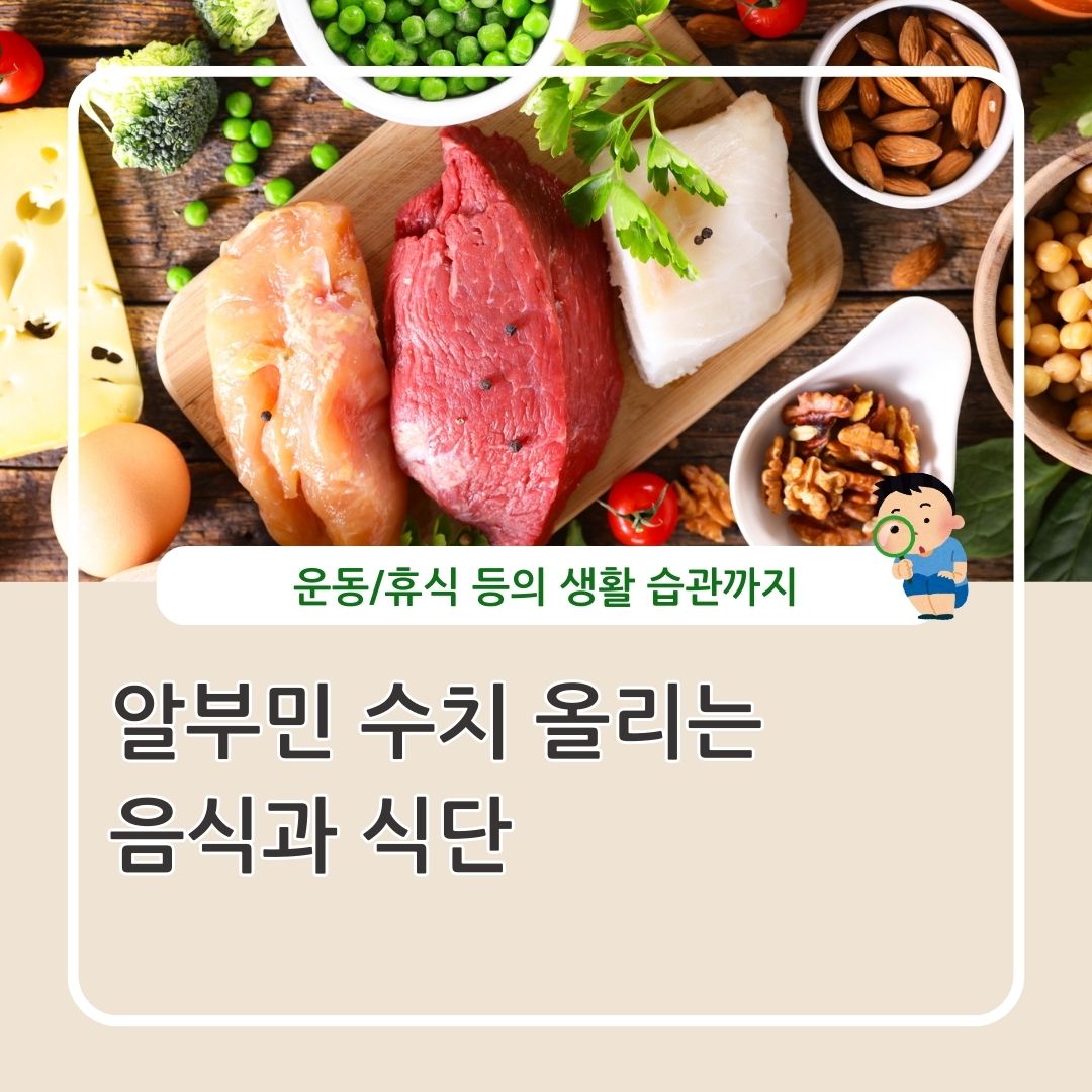알부민 수치 올리는 음식과 생활 습관 정리