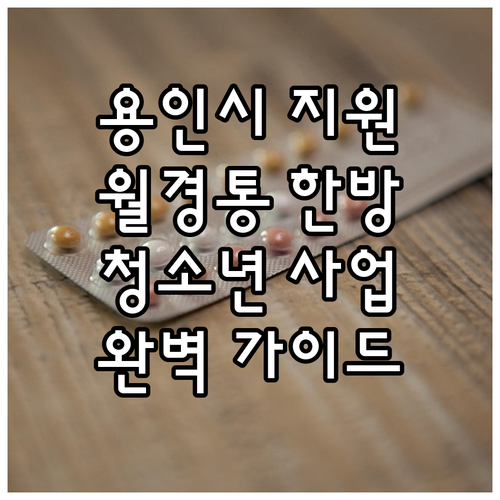 2025 용인시, 월경통 청소년 위한..