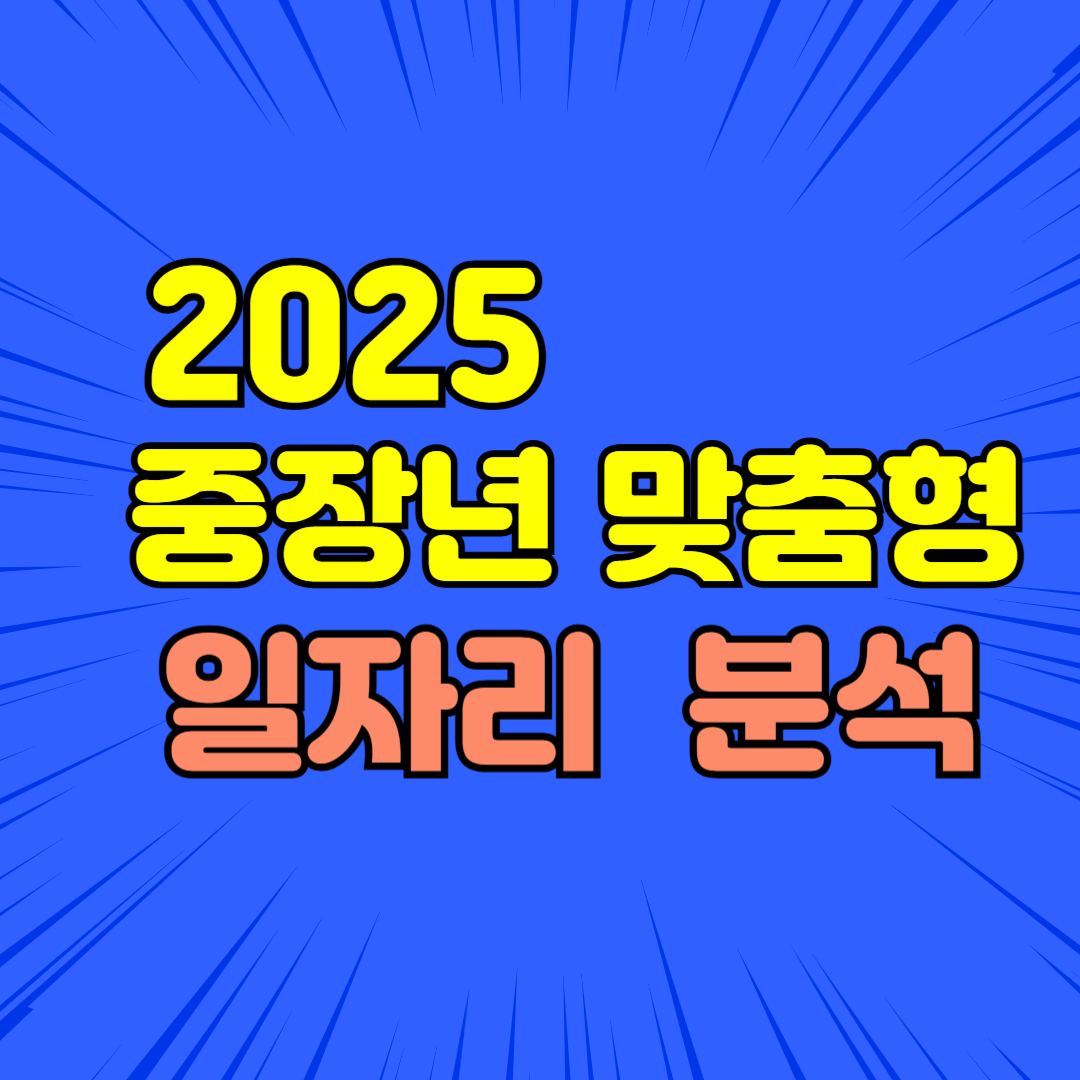 2025 중장년 맞춤형 일자리 유형 분석