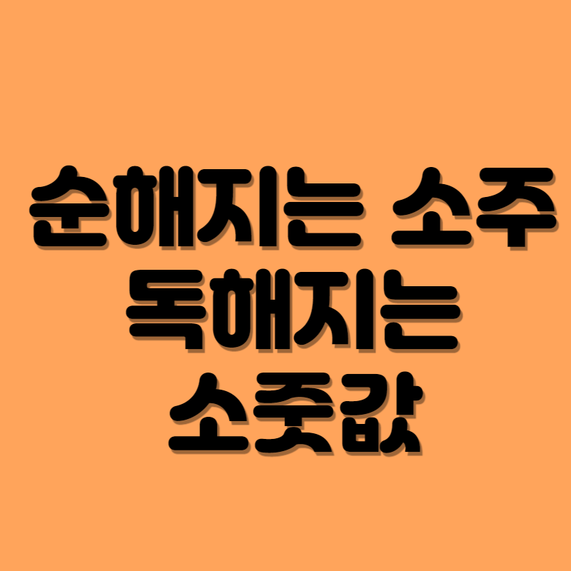 2023.소주1병.6000원시대.순해지는소주.독해지는가격