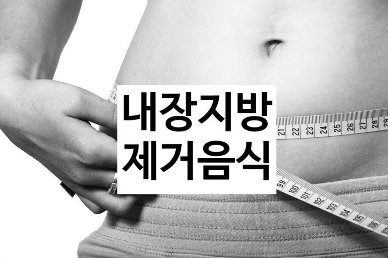 내장지방의 위험성 인식