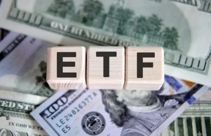 월배당ETF
