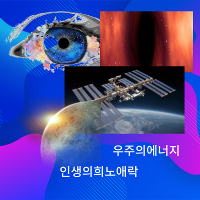 사주의꽃육친의해설