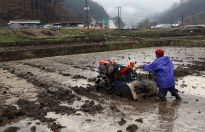 비 맞는 꿈 비 오는 꿈 폭우 홍수 비옷 비바람