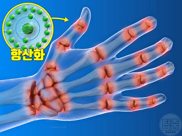 산딸기 어디에 좋은가요 산딸기 효능 관절염 염증
