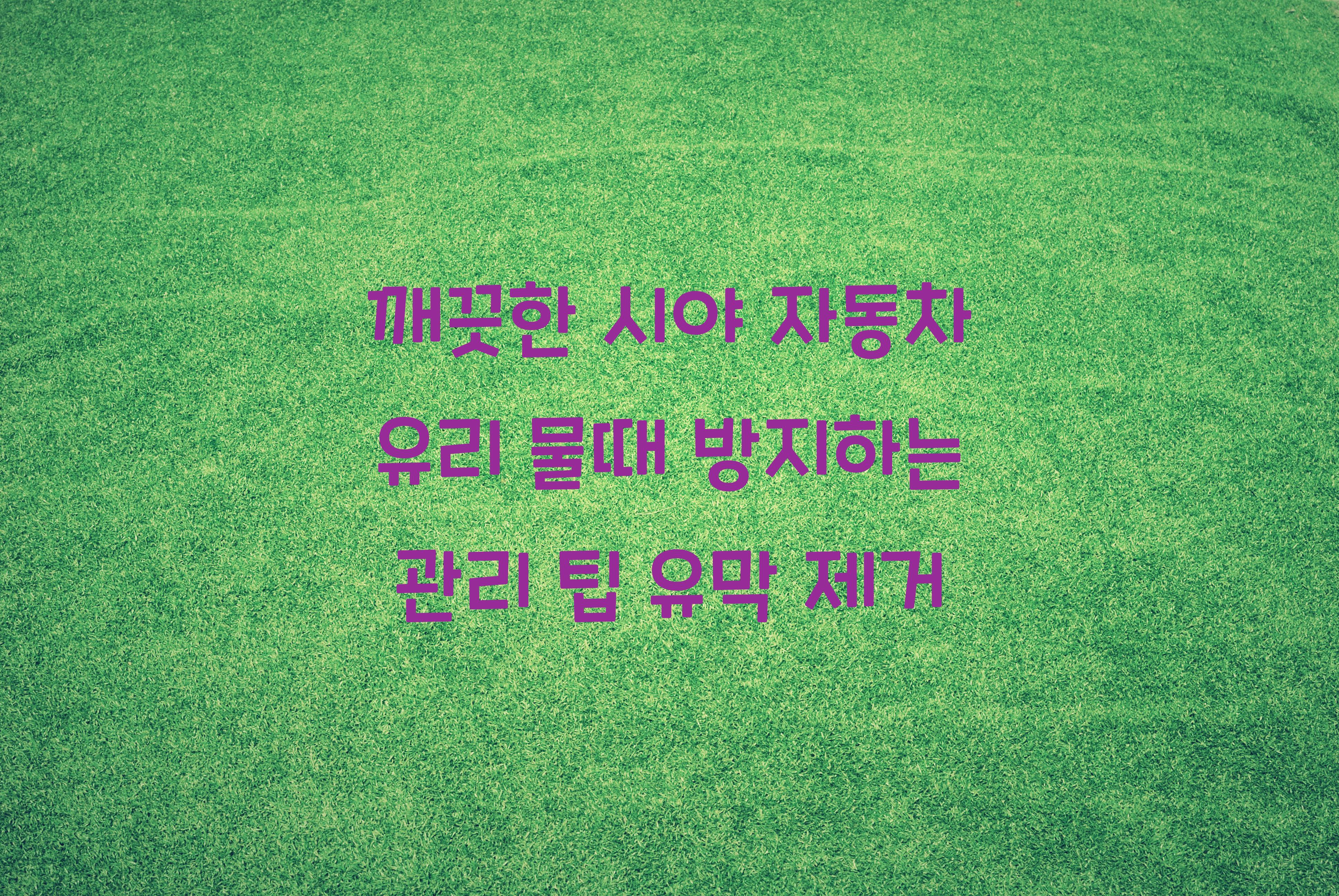 자동차 유리 물때 방지하는 관리 팁