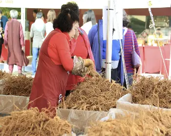 풍기 인삼축제_13