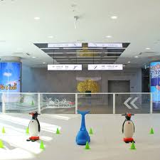 거북섬 스케이트장&amp;#44; 200% 즐기는 꿀팁