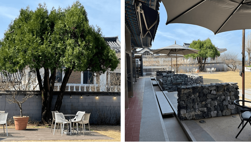 큰-나무와-테라스들