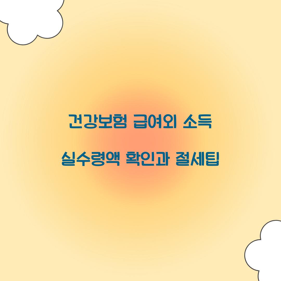 건강보험 급여외 소득