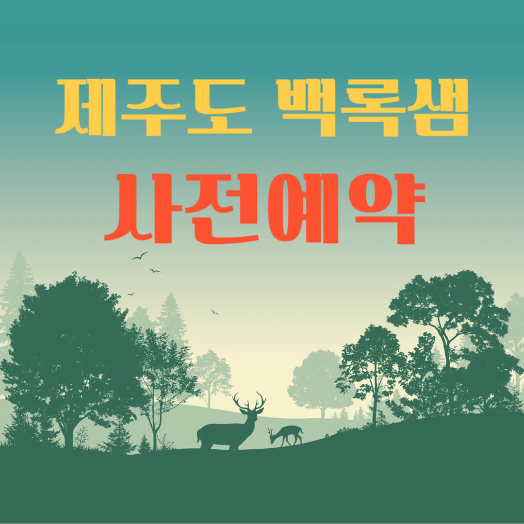 제주도-백록샘-사전예약