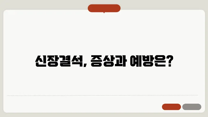 신장결석 증상 및 예방법 통증 완화와 재발 방지