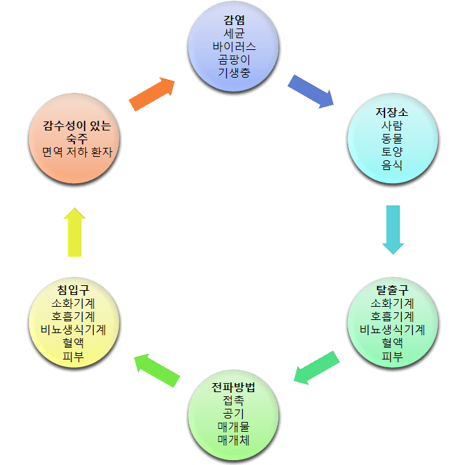감염회로
