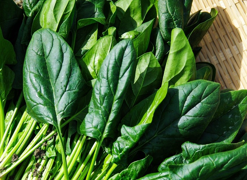 관절에좋은음식