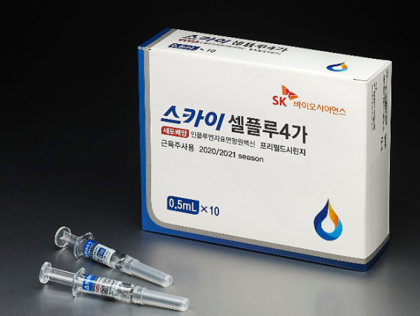 독감 백신 3가 4가 차이 자세히 알아보기