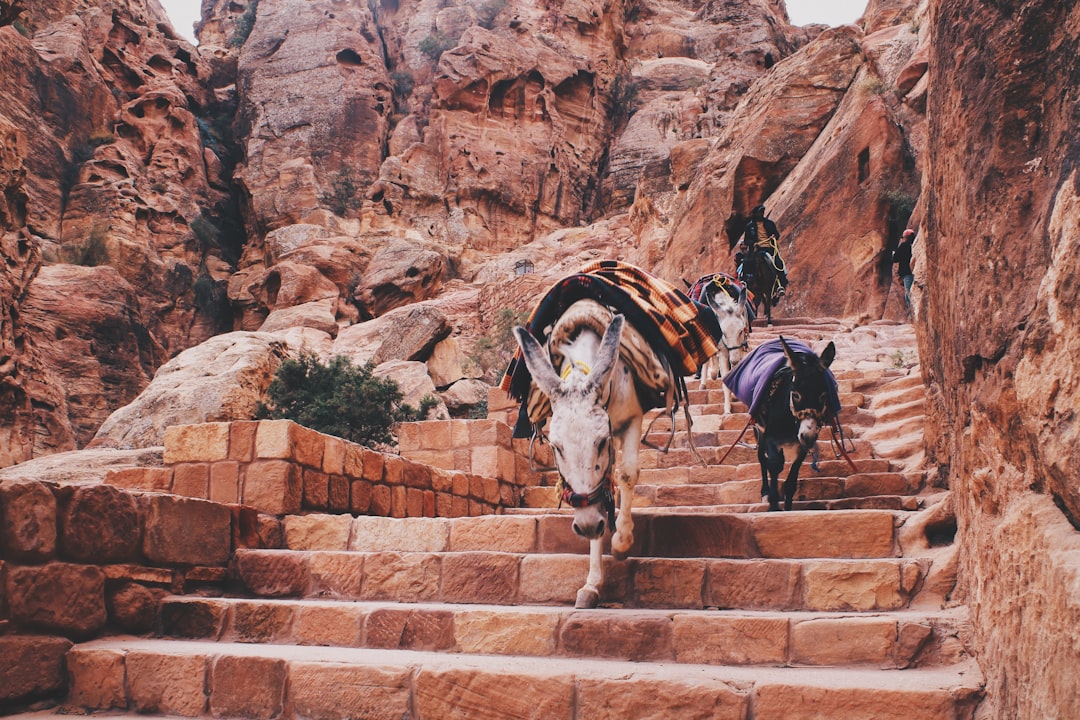 Jordan