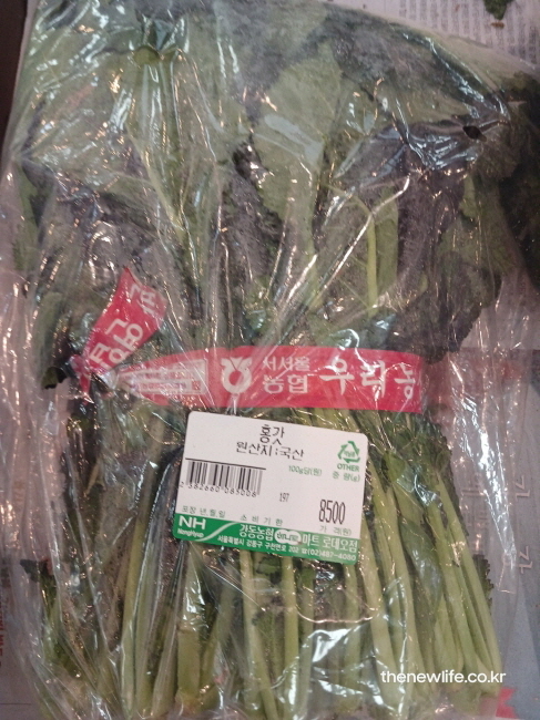 갓 효능 - 마트에서 판매 중인 붉은 갓, 안토시아닌이 풍부해 항산화 효능이 강한 제철 채소