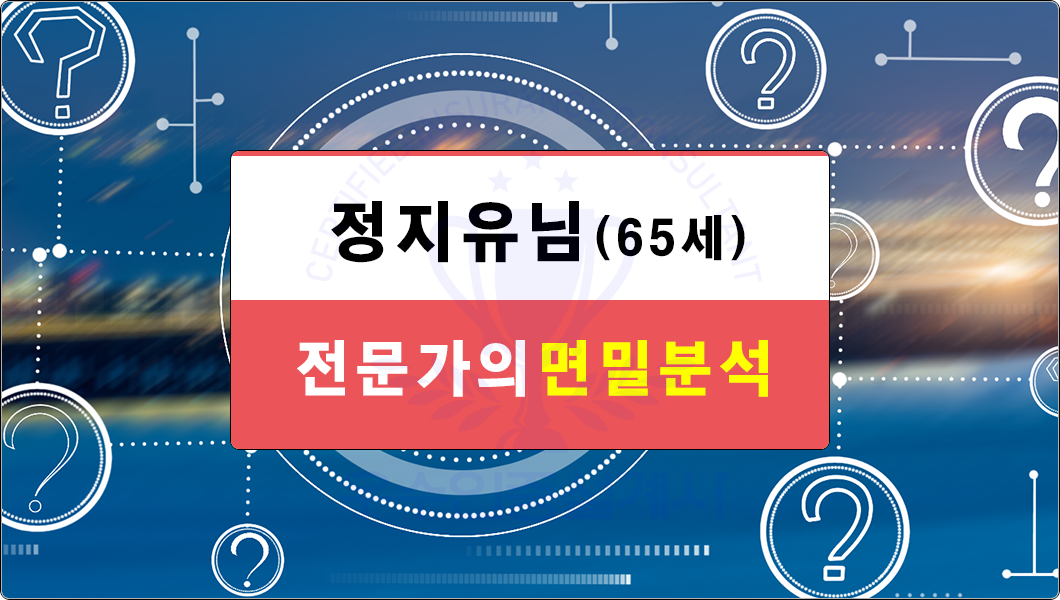 전문가의면밀보험분석