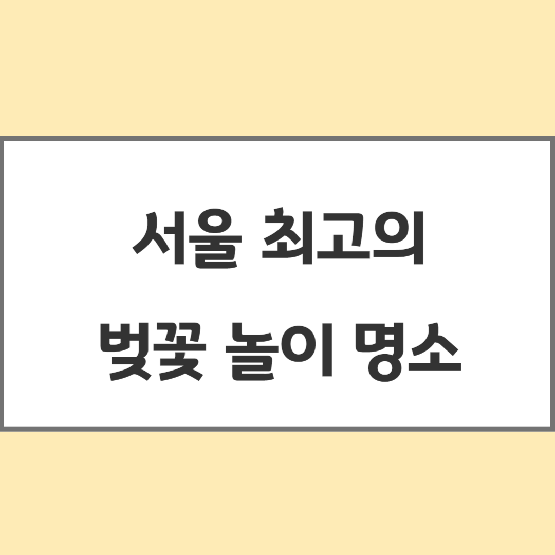 서울벚꽃놀이