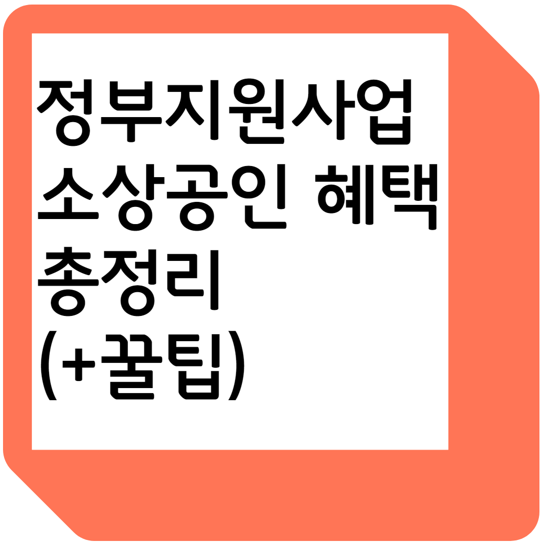 정부지원사업