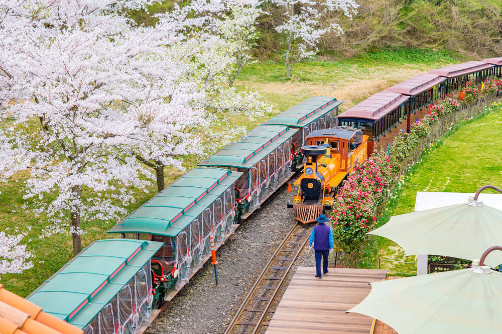 비올때 아이와 함께 제주도 실내 가볼만한곳 top3(동쪽,서쪽)