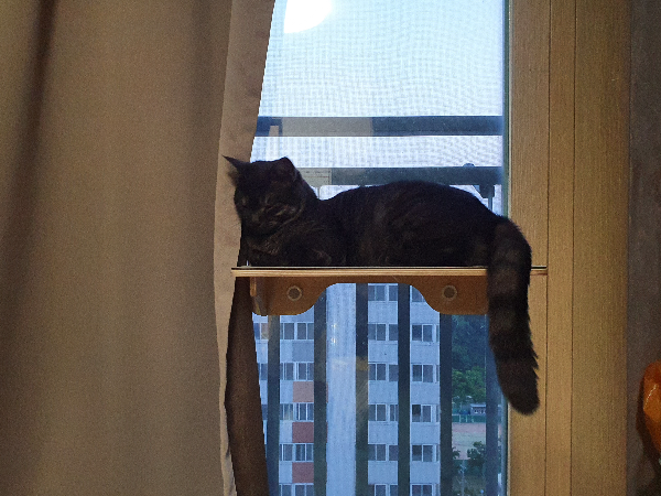 창문 선반 사용 후기