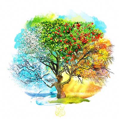 방합은 4계절의 기운이 모인 합