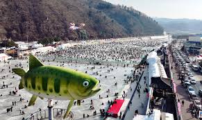 산천어축제 예약
