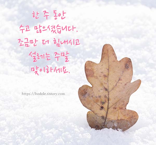 새해-1월-이미지