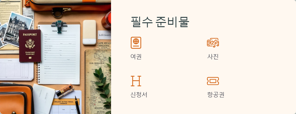 비자발급