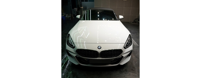 고양 일산동구 ppf