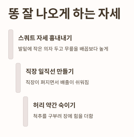 똥 잘 나오게 하는 자세