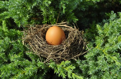계란가격이 소비자와 산업에 미치는 영향