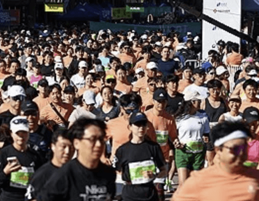 강남국제평화마라톤