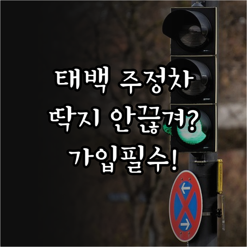 태백시 주정차 문자 알림 서비스 가입..