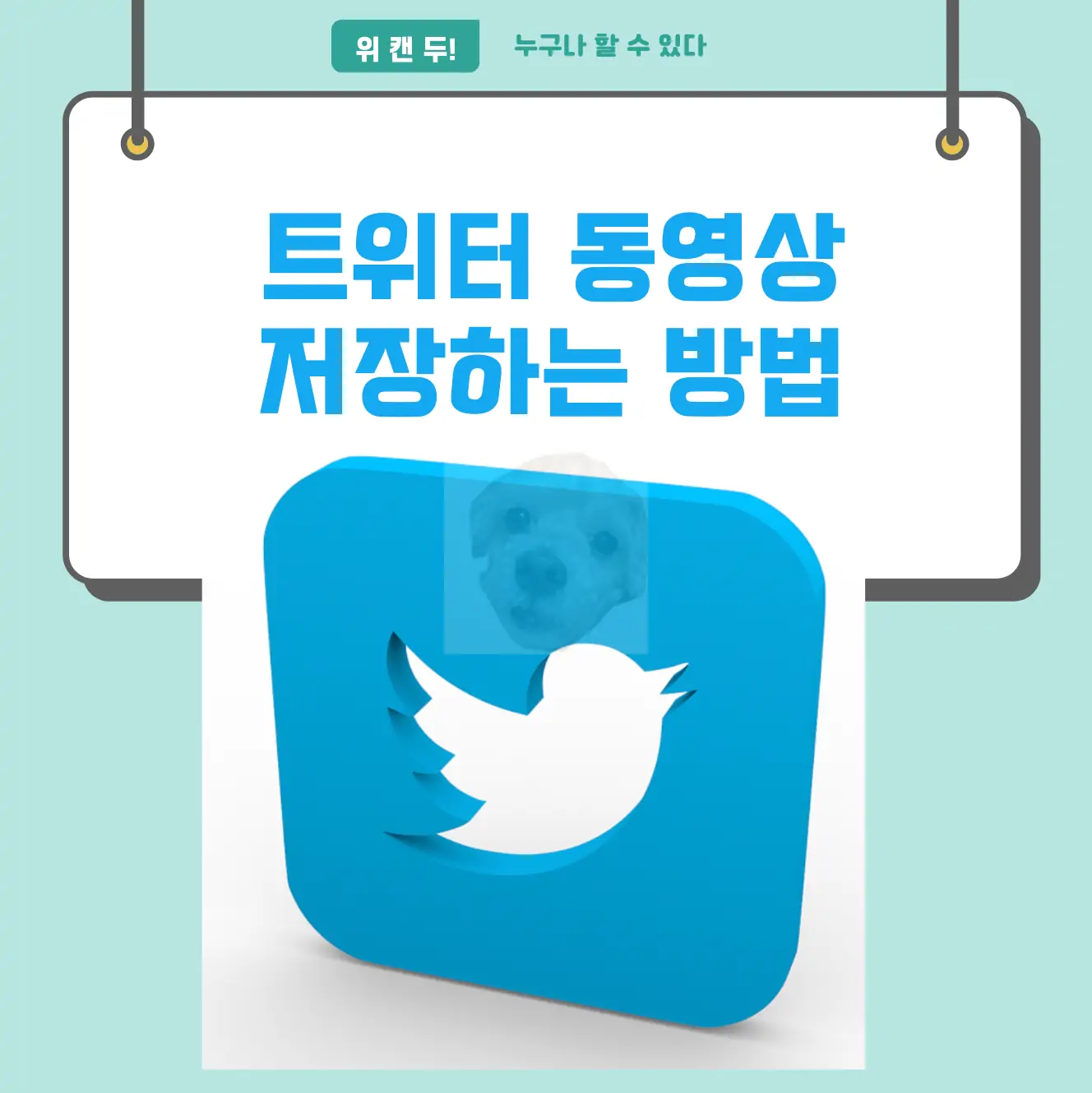 트위터 동영상 저장하는 2가지 방법