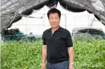 명이나물 재배 서늘한 그늘 물주기 향 유지_6