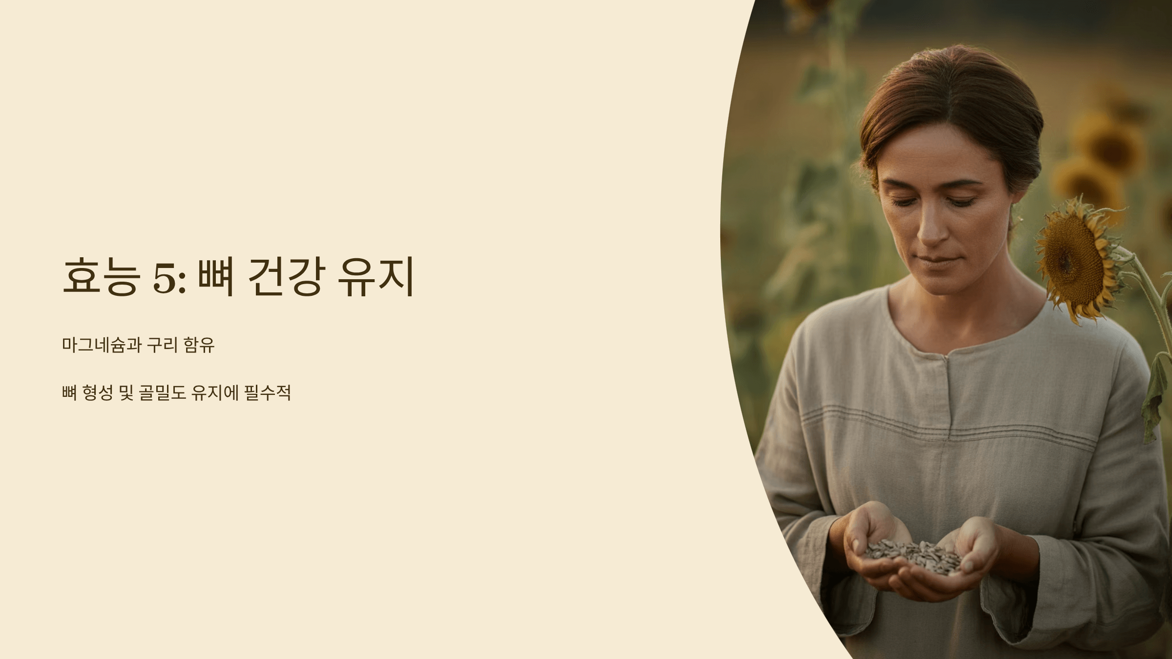 해바라기씨 사진입니다.