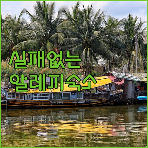 실패 없는 알레피 숙소 예약 가이드와..